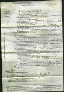 Court of Common Pleas - Helen Annette Oldman-Original Ancestry