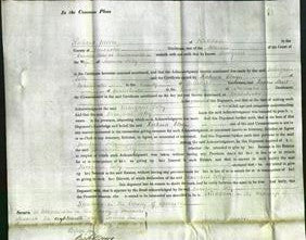 Court of Common Pleas - Margaret Jolly-Original Ancestry