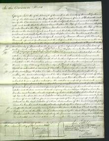 Court of Common Pleas - Eliza Shipton, Lucretia Martin and Martha Bache-Original Ancestry