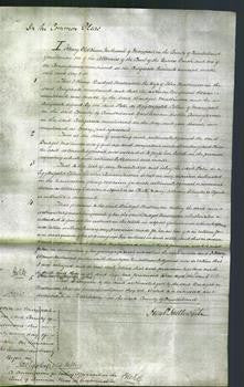 Court of Common Pleas - Bridget Mattinson-Original Ancestry