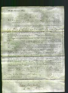 Court of Common Pleas - Eleanor Jewitt-Original Ancestry