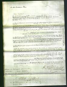 Court of Common Pleas - Sarah Hance Caton-Original Ancestry