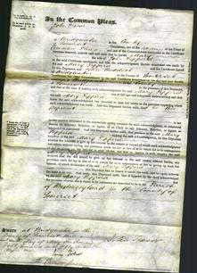 Court of Common Pleas - Mary Pepperd-Original Ancestry