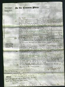 Court of Common Pleas - Elizabeth Bradshaw and Ann Walker-Original Ancestry