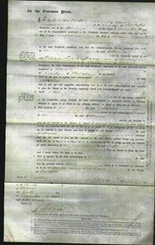 Court of Common Pleas - Catherine Allport Bancks-Original Ancestry