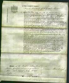 Court of Common Pleas - Cecilia Anne Barlow-Original Ancestry