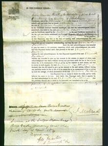 Court of Common Pleas - Elizabeth Faulkner-Original Ancestry