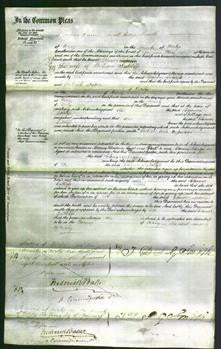 Court of Common Pleas - Eleanor Redfern Sutcliffe-Original Ancestry