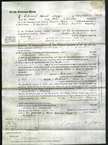 Court of Common Pleas - Mehetabel Ramsey-Original Ancestry