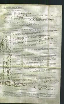 Court of Common Pleas - Emily Harriet Chrinies-Original Ancestry