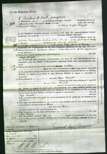 Court of Common Pleas - Eliza Knight-Original Ancestry