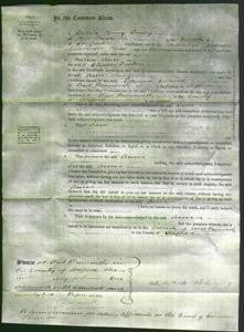 Court of Common Pleas - Ann Fenton-Original Ancestry