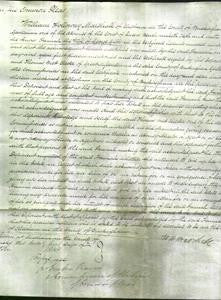 Court of Common Pleas- Hannah Gibbs-Original Ancestry