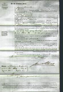 Court of Common Pleas - Susannah Conner-Original Ancestry