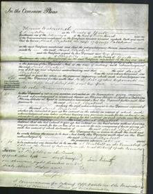 Court of Common Pleas - Sarah Elizabeth Falshan-Original Ancestry