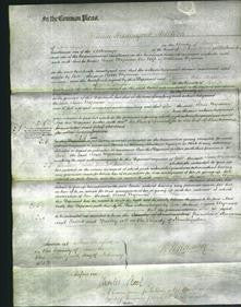 Court of Common Pleas - Jane Wyman-Original Ancestry