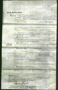 Court of Common Pleas - Mary Amber-Original Ancestry