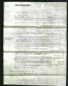 Court of Common Pleas - Elizabeth Gavett-Original Ancestry