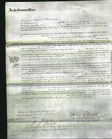 Court of Common Pleas - Martha Graham-Original Ancestry