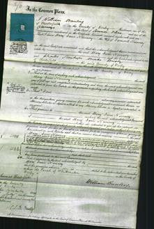 Court of Common Pleas - Mary Jane Nunney-Original Ancestry