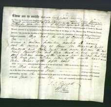 Deed by Married Women - Eliza Sarah Roe-Original Ancestry