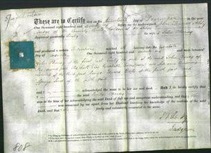 Deed by Married Women - Emily Chaney-Original Ancestry