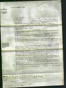 Court of Common Pleas - Sophia Worsley-Original Ancestry