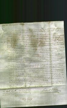 Court of Common Pleas - Fanny Woods-Original Ancestry