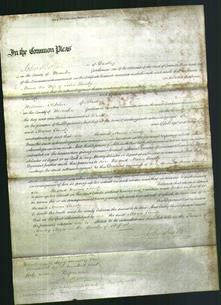 Court of Common Pleas - Maria Tandy-Original Ancestry