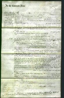 Court of Common Pleas - Elizabeth Windle and Ann Brown-Original Ancestry