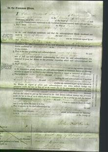 Court of Common Pleas - Sarah Tincknell and Mary Ann Baker