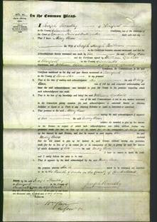 Court of Common Pleas - Mary Ann Quilliam-Original Ancestry