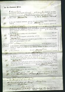 Court of Common Pleas - Ann Alcock-Original Ancestry