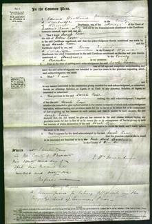 Court of Common Pleas - Sarah Lowe-Original Ancestry