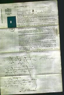 Court of Common Pleas - Rose Sanderson-Original Ancestry