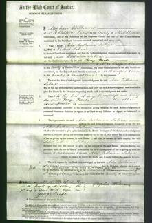 Court of Common Pleas - Ada Catherine Sabine-Original Ancestry