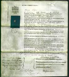 Court of Common Pleas - Caroline Ellen Thurston-Original Ancestry