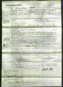 Court of Common Pleas - Selina Mary Westlake-Original Ancestry