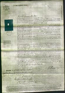 Court of Common Pleas - Harriet Bennett-Original Ancestry