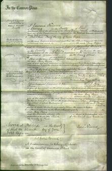 Court of Common Pleas - Mary Pepper-Original Ancestry