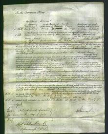 Court of Common Pleas - Nancy Mitchell-Original Ancestry