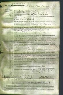 Court of Common Pleas - Jane Colbeck-Original Ancestry