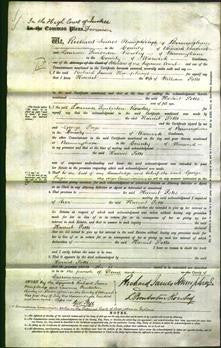 Court of Common Pleas - Harriet Potts-Original Ancestry