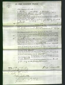 Court of Common Pleas - Elizabeth Wood-Original Ancestry