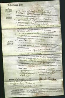 Court of Common Pleas - Elizabeth Haskins-Original Ancestry