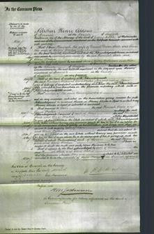 Court of Common Pleas - Hannah Steele and Clara Makin-Original Ancestry