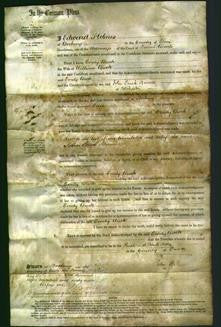 Court of Common Pleas - Emily Buck-Original Ancestry