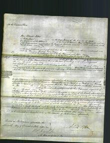 Court of Common Pleas - Mary May-Original Ancestry