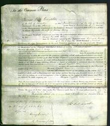 Court of Common Pleas - Elizabeth Kelsey-Original Ancestry