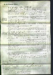 Court of Common Pleas - Anne Elizabeth Parker-Original Ancestry